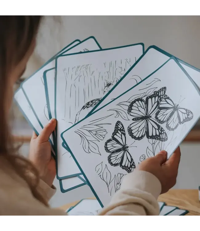 Kidywolf KidyDraw Animals 8+