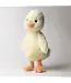 Jellycat Bashful Duckling
