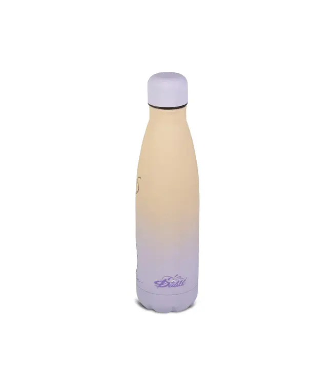 Diddl Drinkfles RVS - 1 stuk assorti