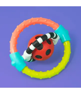 Sassy Spin & Chew Rattle