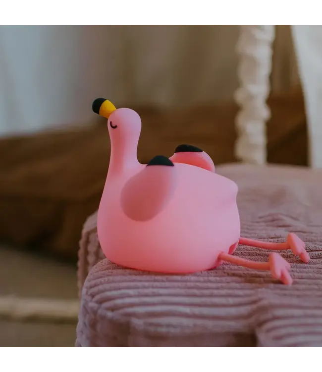 Mary's Flamingo