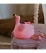 Mary's Flamingo