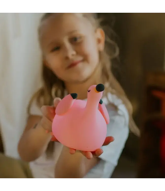 Mary's Flamingo