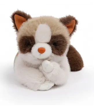 One Love Kat Ragdoll Caramel