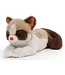 One Love Kat Ragdoll Caramel