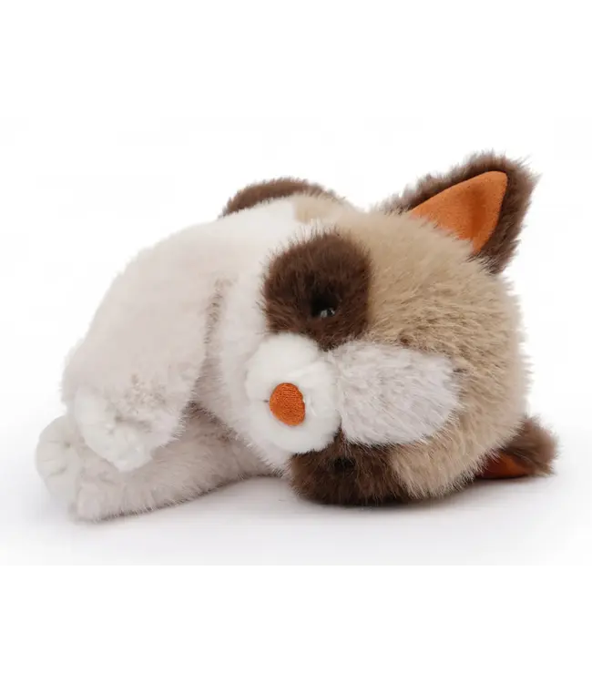 One Love Kat Ragdoll Caramel