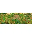 Djeco Puzzel Hidden Nature 1000