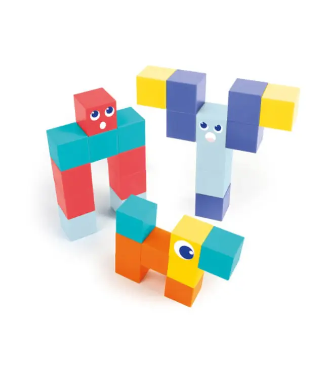 Ludi Magnetische kubussen