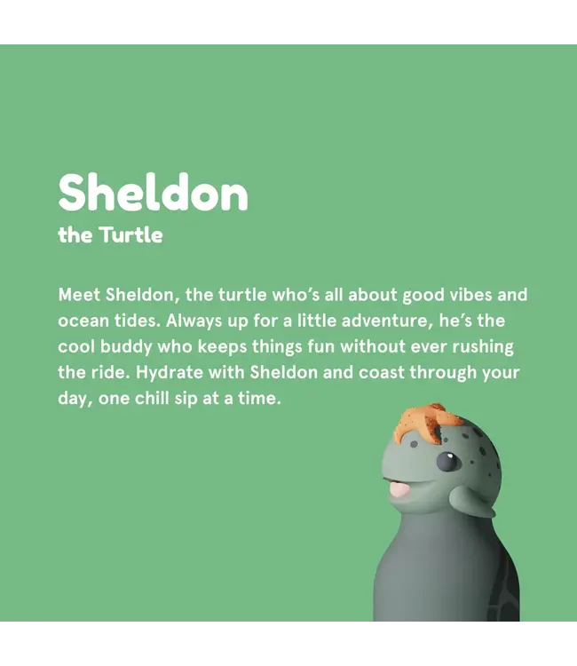 Asobu Bestie Turtle