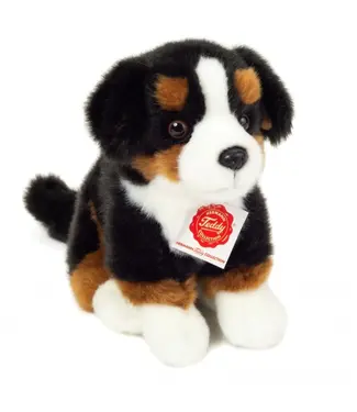 Hermann Teddy Bernen Senner Hond 21cm