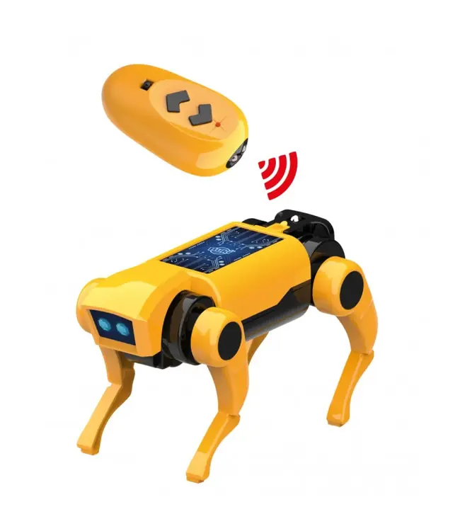 Buki Mini Lab Robot Hond