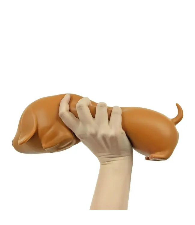 Big Squish Teckel