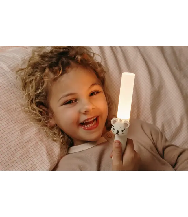 The Zoofamily Zoolight - Koala