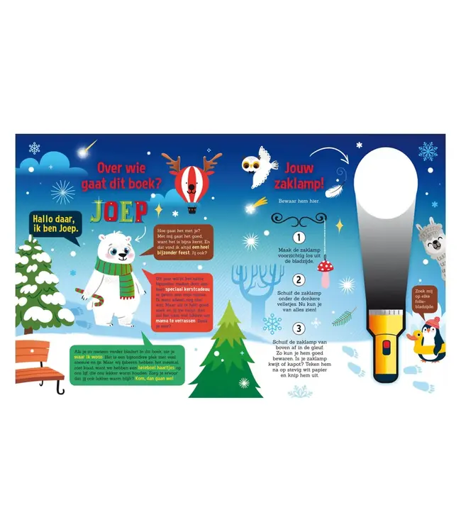De Lantaarn Speuren in de Kerstwereld Boek