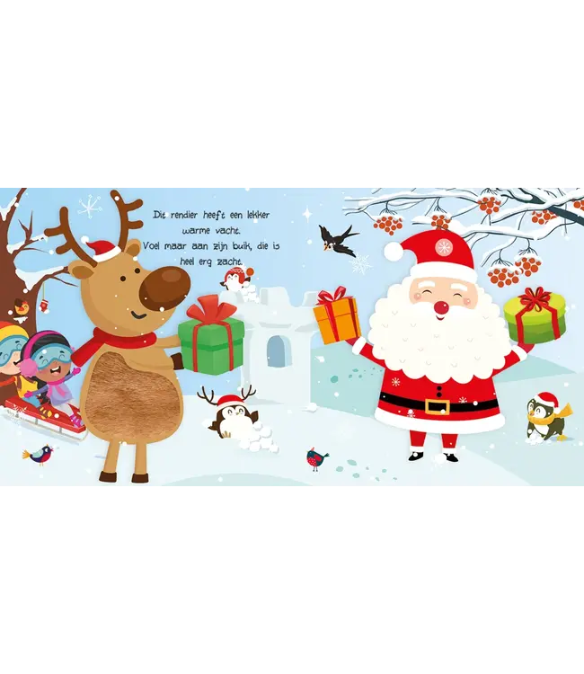 De Lantaarn Kerstmis Kijk en Voel Boek