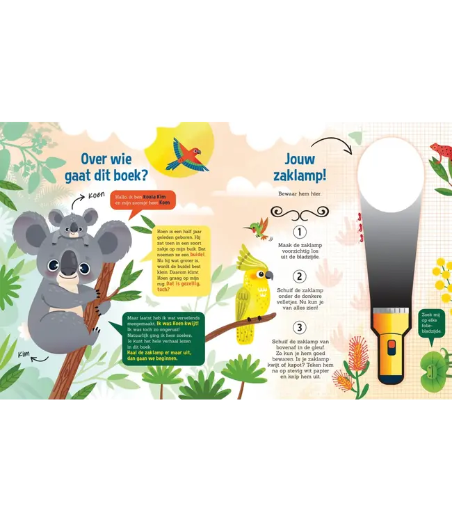 De Lantaarn Speuren naar Koala's