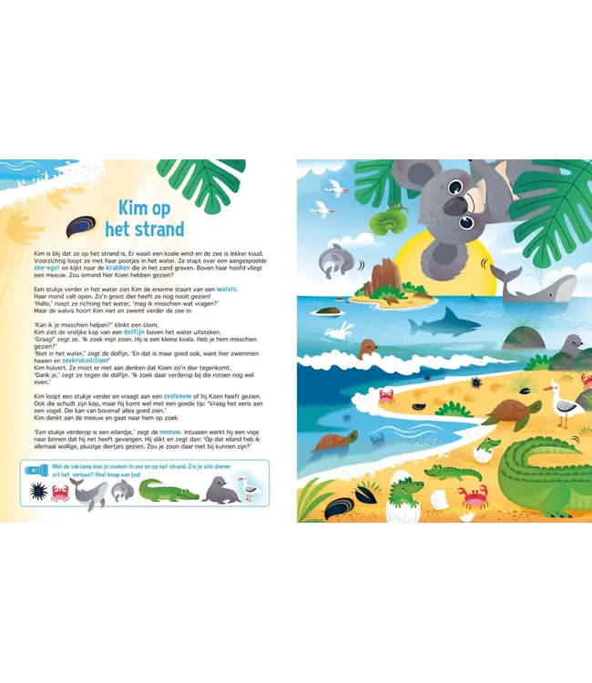 De Lantaarn Speuren naar Koala's