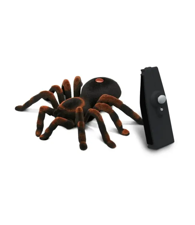 Buki Tarantula RC
