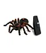 Buki Tarantula RC