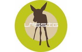 Lassig