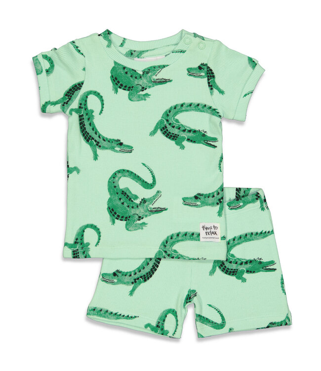 Feetje Premium summerwear Chris Croc groen