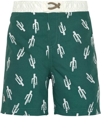 Lassig LSF Board Shorts Cactus green