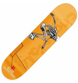 Chocolate Gino Iannucci Day of the Shred 8.5 (Planche seule)"