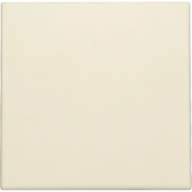 Niko 100-76901 blindplaat zonder draagring cream