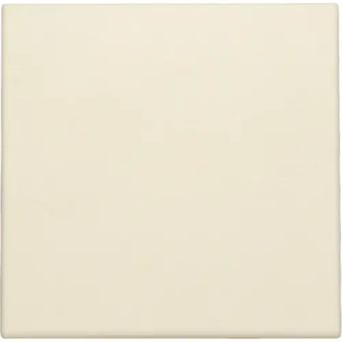 Niko 100-76901 blindplaat zonder draagring cream
