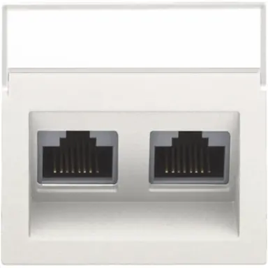 Niko 101-65400 centraalplaat 2-voudig tbv RJ draagring schuin met tekstveld white