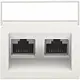 Niko 101-65400 centraalplaat 2-voudig tbv RJ draagring schuin met tekstveld white