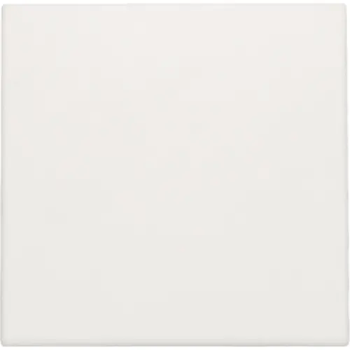 Niko 101-76901 blindplaat zonder draagring white