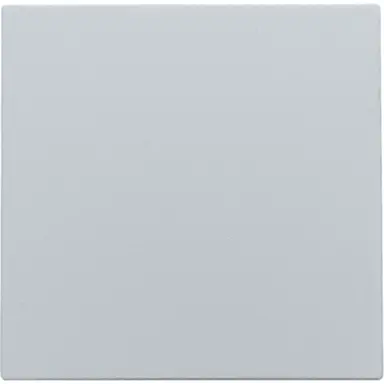 Niko 121-76901 blindplaat zonder draagring sterling coated