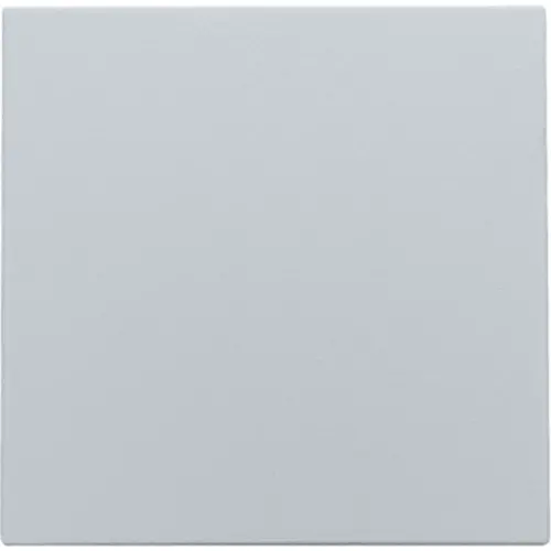 Niko 121-76901 blindplaat zonder draagring sterling coated