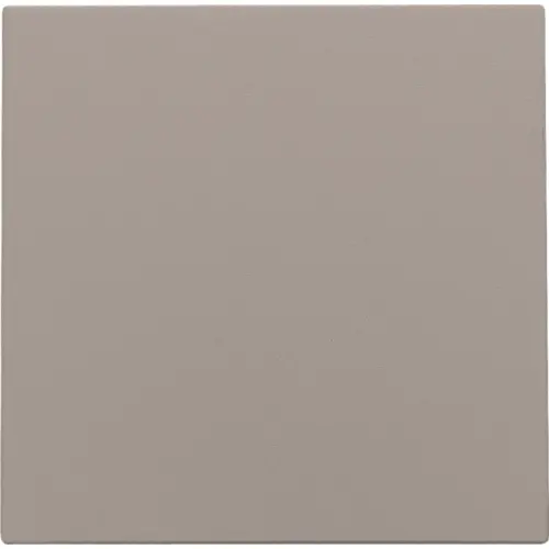 Niko 123-76901 blindplaat zonder draagring bronze coated