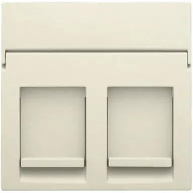 Niko 100-65200 centraalplaat 2-voudig tbv RJ draagring cream