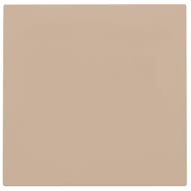 Niko 157-76901 blindplaat zonder draagring champagne coated