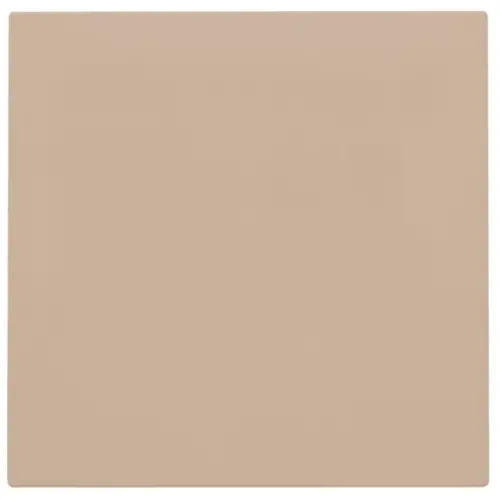 Niko 157-76901 blindplaat zonder draagring champagne coated