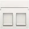 Niko 101-65200 centraalplaat 2-voudig vlak tbv RJ draagring white