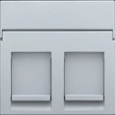 Niko 121-65200 centraalplaat 2-voudig vlak tbv RJ draagring sterling coated