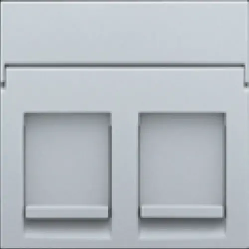 Niko 121-65200 centraalplaat 2-voudig vlak tbv RJ draagring sterling coated