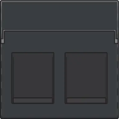 Niko 122-65200 centraalplaat 2-voudig tbv RJ draagring anthracite coated