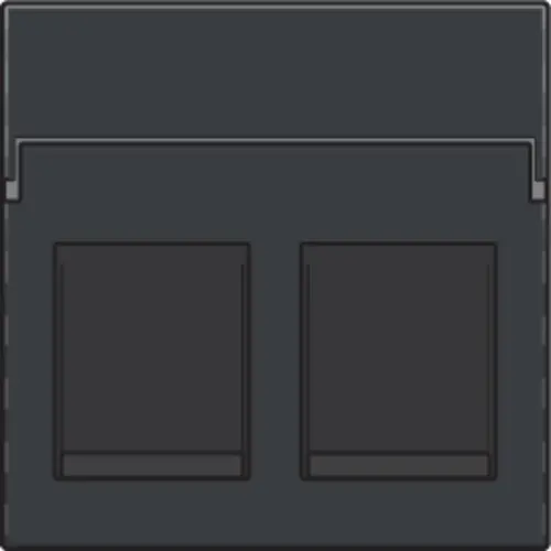 Niko 122-65200 centraalplaat 2-voudig tbv RJ draagring anthracite coated