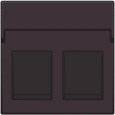Niko 124-65200 centraalplaat 2-voudig vlak tbv RJ draagring dark brown coated