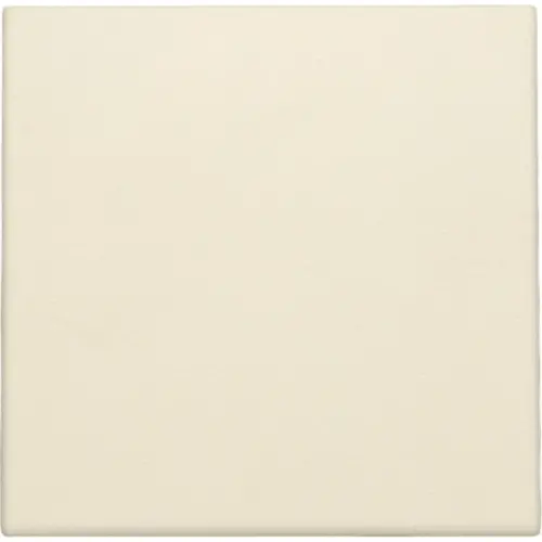 Niko 100-76001 blindplaat met kabeluitvoer zonder draagring cream