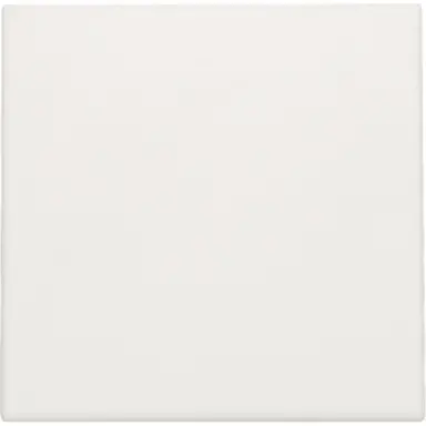 Niko 101-76001 blindplaat met kabeluitvoer zonder draagring white