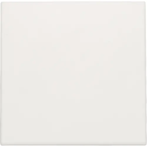 Niko 101-76001 blindplaat met kabeluitvoer zonder draagring white