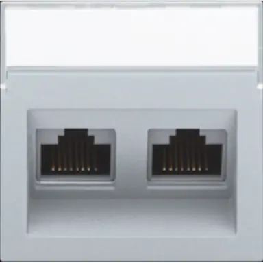 Niko 121-65400 centraalplaat 2-voudig tbv RJ draagring schuin met tekstveld sterling coated