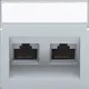 Niko 121-65400 centraalplaat 2-voudig tbv RJ draagring schuin met tekstveld sterling coated