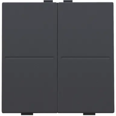 Niko 122-00007 tweevoudige toets voor draadloze schakelaar anthracite coated